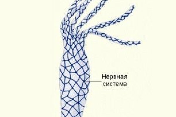 Кракен зеркала официальные