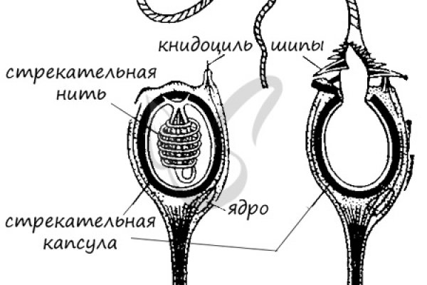 Дарк нет вход